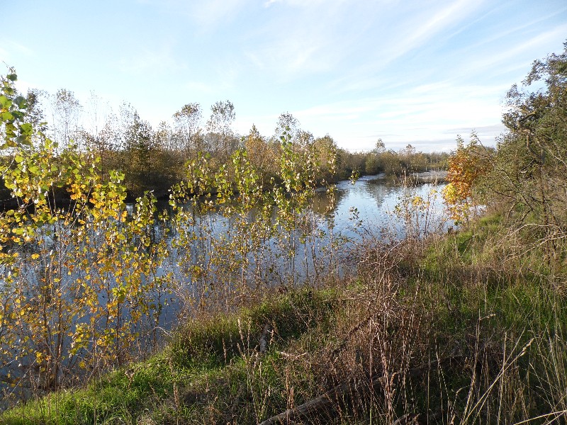 Parco del ticino 1.11.12